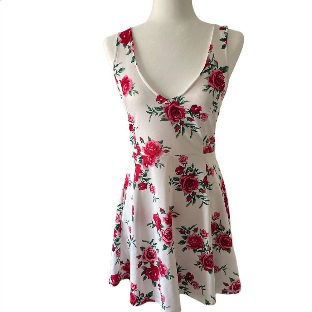 Size medium v-neck low back rose dress